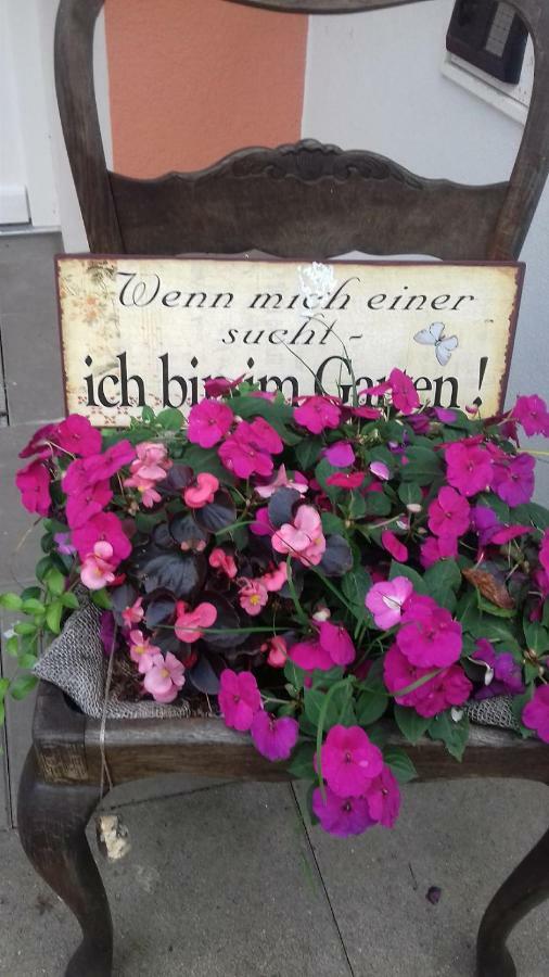 Fewo 1 Waren Mueritz - Haus Buchen Am Tiefwarensee - 1 Zi Dış mekan fotoğraf